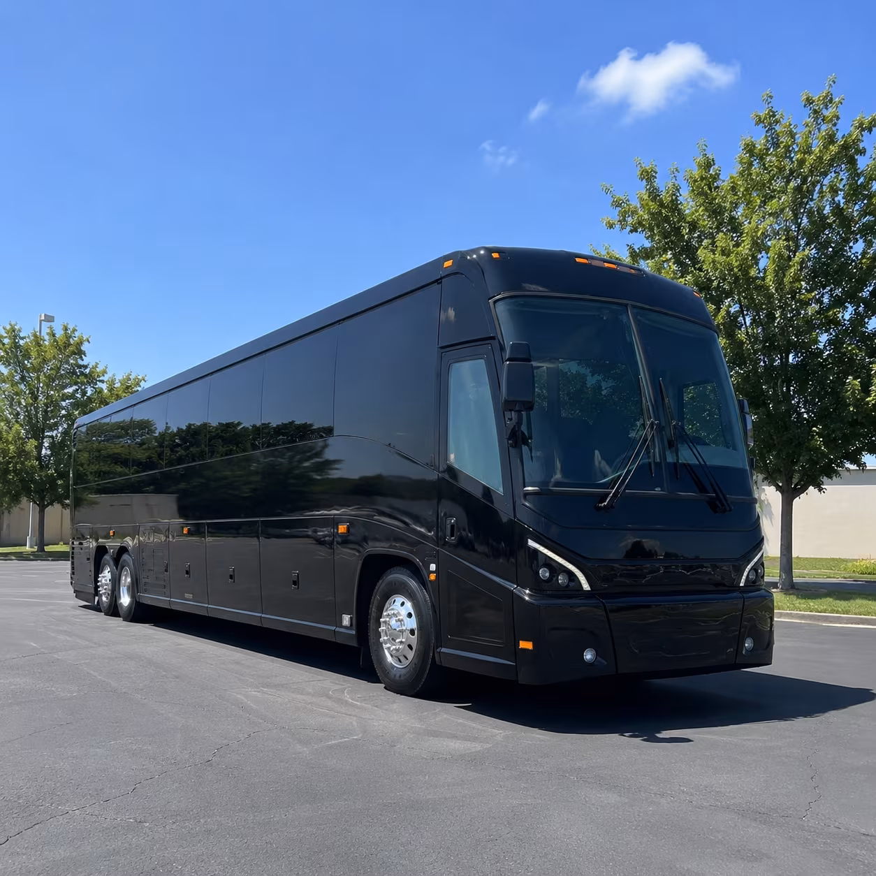 laredocoachbuscompany com makes washington s birthday celebration and event airport transfers easy